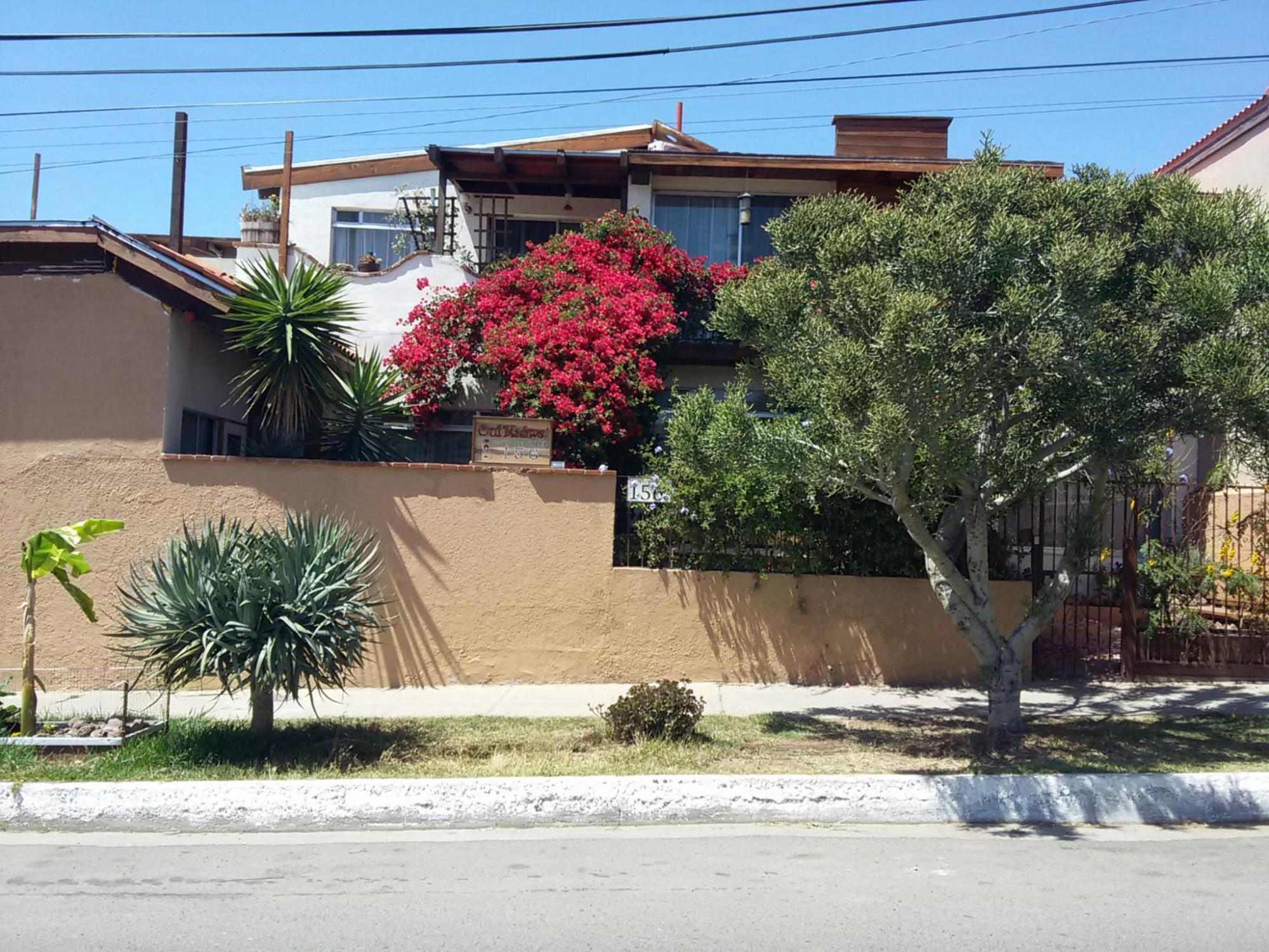B&B Oui Madame Tijuana Buitenkant foto