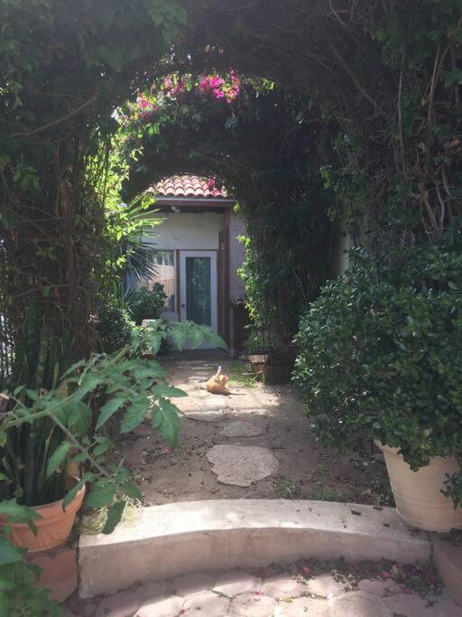 B&B Oui Madame Tijuana Kamer foto