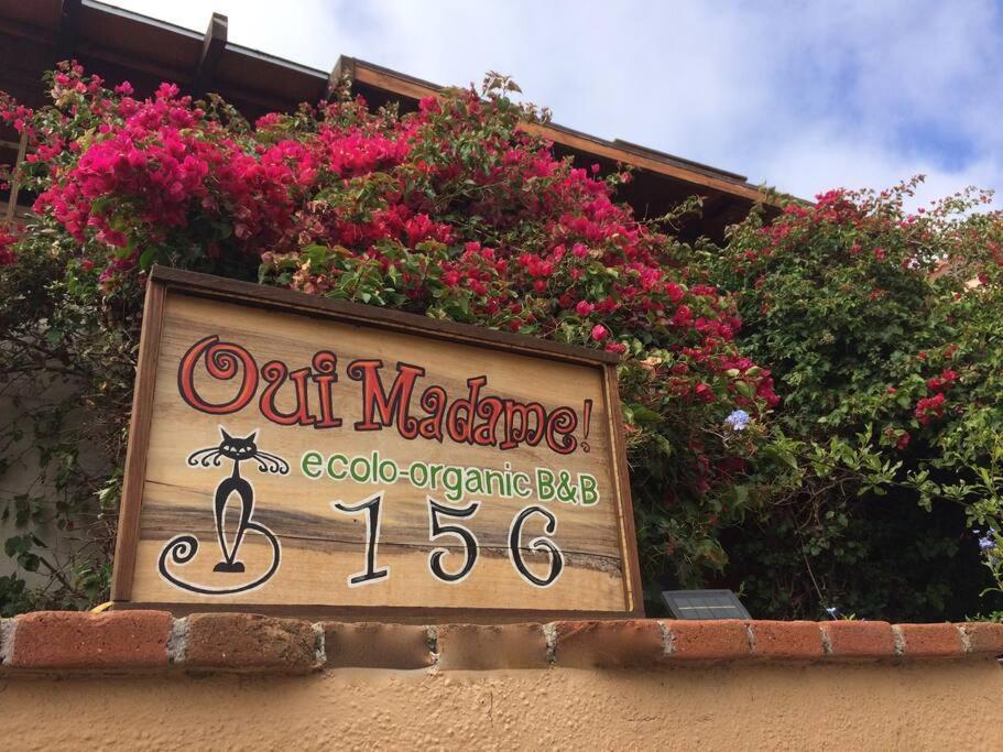 B&B Oui Madame Tijuana Kamer foto